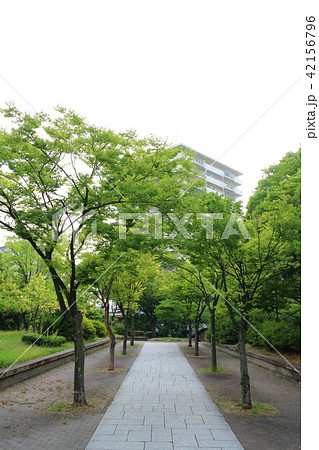 神宮東公園:名古屋 神宮東公園:名古屋 42156796