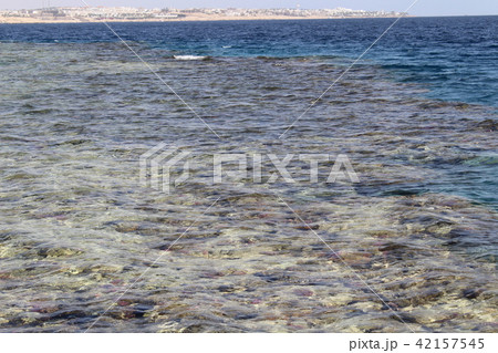 The Red Sea The Red Sea 42157545