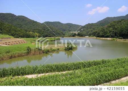 池のある田舎風景 42159055
