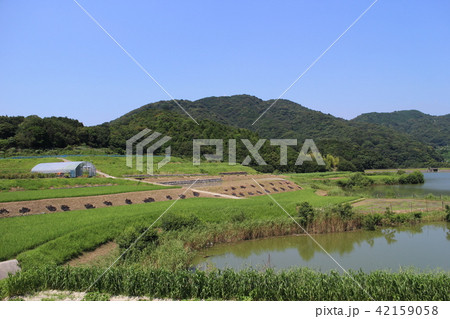 池のある田舎風景 池のある田舎風景 42159058