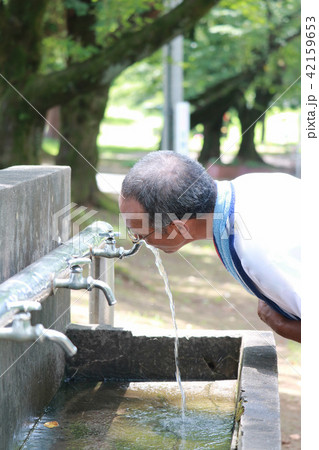 夏の公園の水道　シニア 42159653
