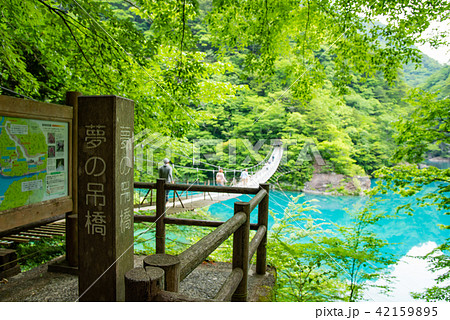 静岡県　寸又峡　夢の吊り橋 42159895