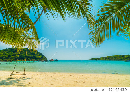 Beautiful tropical beach and sea with coconut palm tree in paradise island 42162430