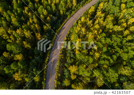 Driving road in autumnal forest 42163507
