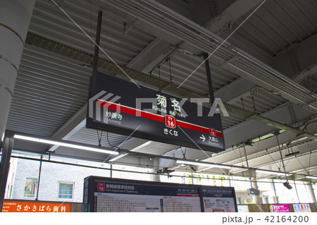 菊名駅・駅名標/神奈川県横浜市港北区菊名7丁目 菊名駅・駅名標/神奈川県横浜市港北区菊名7丁目 42164200