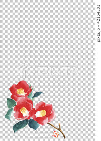 年賀状 つばき 亥の刻印あり 42164501