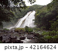 大川の滝 42164624