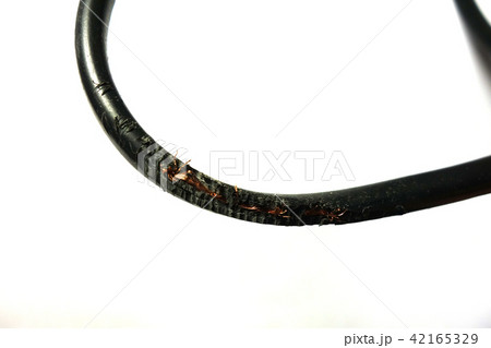 キズ 黒ケーブル キズ 黒ケーブル 42165329