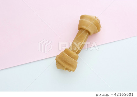 Dog Bone on blue and pink 42165601