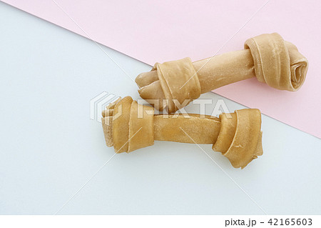 Dog Bone on blue and pink 42165603