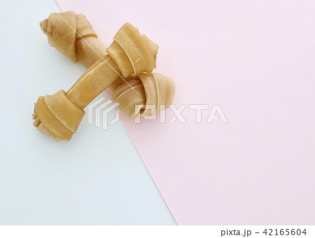 Dog Bone on blue and pink 42165604