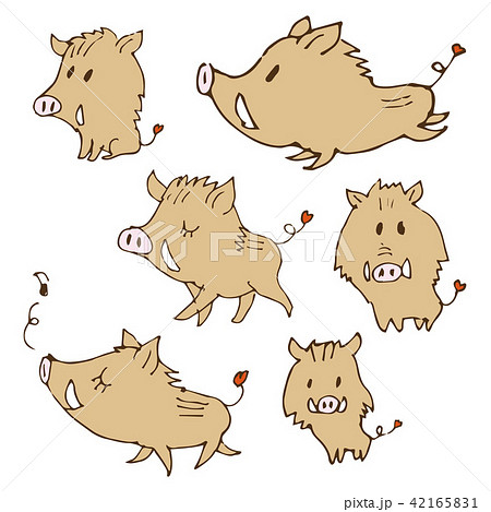 手書き 猪のイラスト 年賀状素材 干支動物のイラスト素材