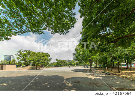 新小岩公園 42167064