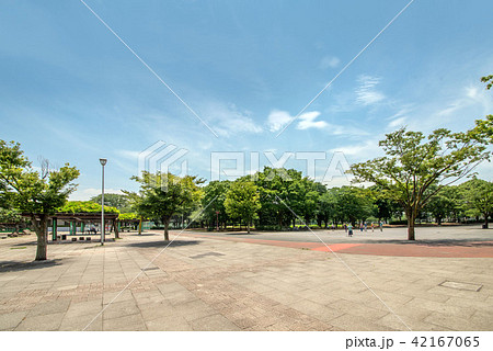 東京都葛飾区、新小岩公園 42167065