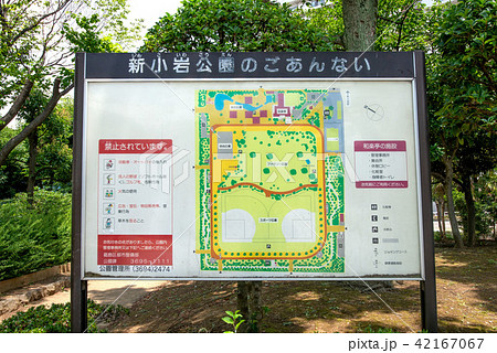新小岩公園 42167067