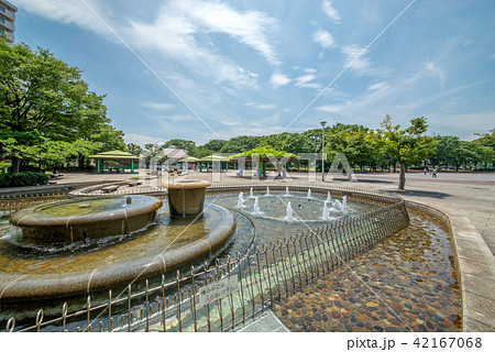 東京都葛飾区立の新小岩公園 42167068