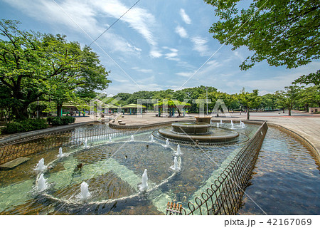 新小岩公園 42167069