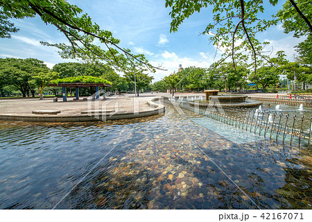 東京都葛飾区、新小岩公園 42167071