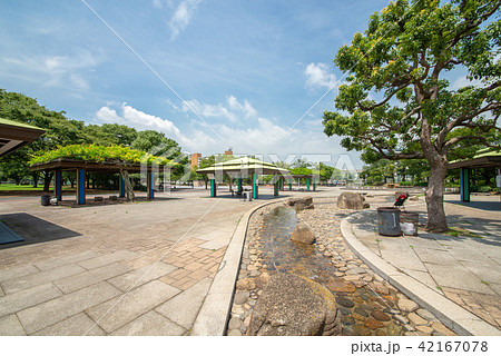 東京都葛飾区、新小岩公園 42167078