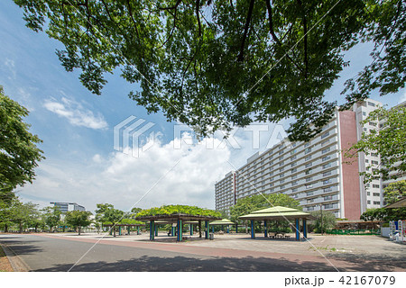 東京都葛飾区、新小岩公園 東京都葛飾区、新小岩公園 42167079