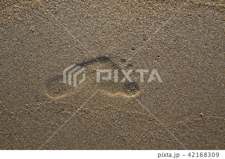Footprints in the sand by the sea Footprints in the sand by the sea 42168309