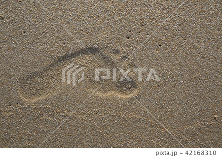 Footprints in the sand by the sea 42168310