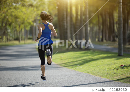 young fitness woman running at tropical park young fitness woman running at tropical park 42168980