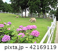 ひつじ 42169119