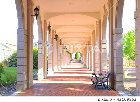 神戸フルーツフラワーパーク 神戸フルーツフラワーパーク 42169562