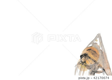 コロポックル 42170074