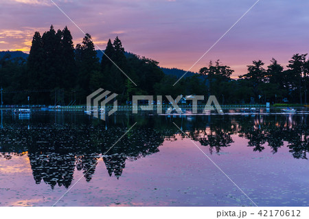 夕方の鶴ヶ池 tsurugaike swamp 42170612