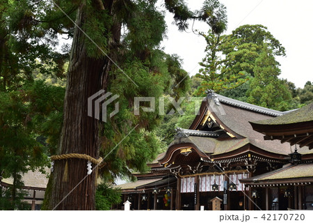大神神社 42170720