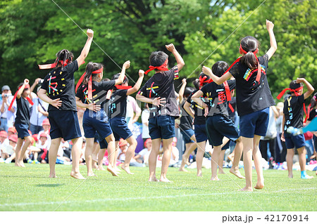 運動会 運動会 42170914