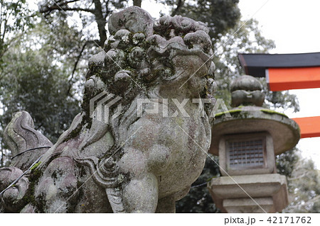 狛犬 42171762