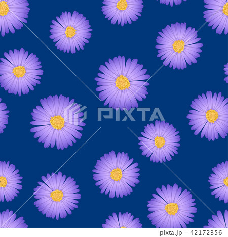 Purple Aster, Daisy Seamless on Blue Background. Purple Aster, Daisy Seamless on Blue Background. 42172356