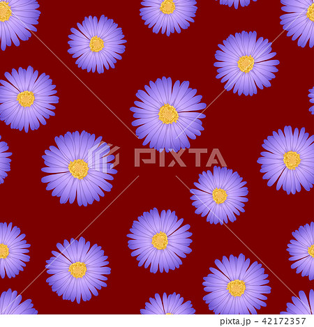 Purple Aster, Daisy Seamless on Red Background Purple Aster, Daisy Seamless on Red Background 42172357