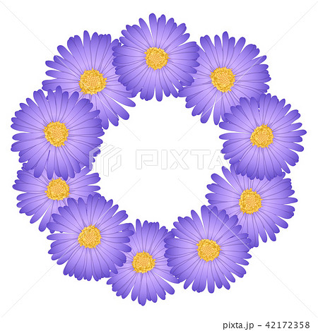 Purple Aster, Daisy Flower Wreath Purple Aster, Daisy Flower Wreath 42172358