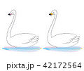 スワン スワン 42172564