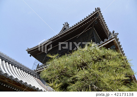 本通寺 山門 本通寺 山門 42173138