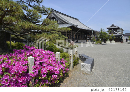 本通寺　本堂 42173142