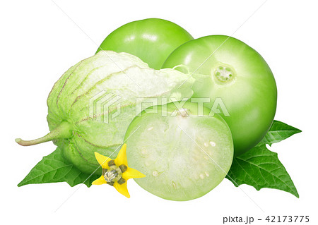 Tomatillo husk tomato, physalis 42173775
