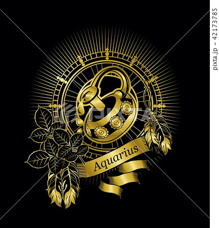 Aquarius zodiac sign 42173785