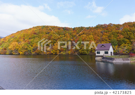 宮城県 長老湖の紅葉 autumn leaves in chourouko lake 42173825