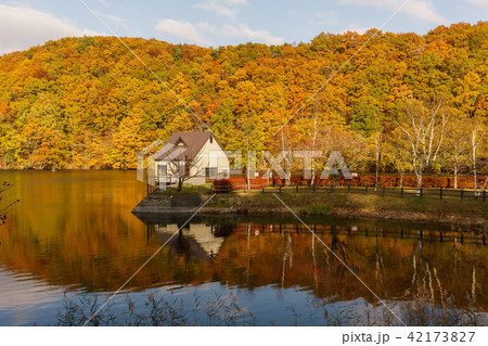 宮城県 長老湖の紅葉 autumn leaves in chourouko lake 宮城県 長老湖の紅葉 autumn leaves in chourouko lake 42173827