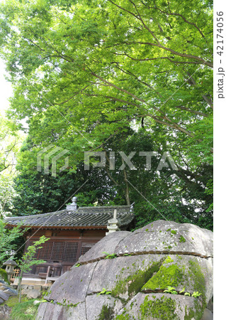 岡山城＆後楽園９ 42174056