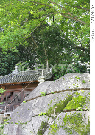 岡山城&後楽園10 岡山城&後楽園10 42174057