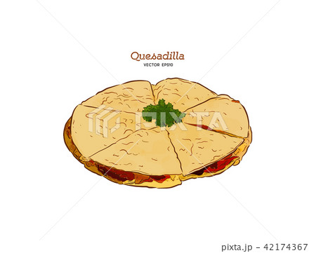 vector hand drawn Quesadilla Mexican food. 42174367