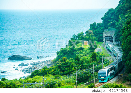 夏の海とスーパービュー踊り子 42174548