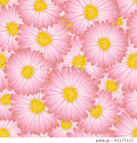 Pink Aster, Daisy Flower Seamless Background Pink Aster, Daisy Flower Seamless Background 42175312