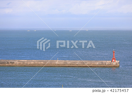 伊良湖岬の海 伊良湖岬の海 42175457
